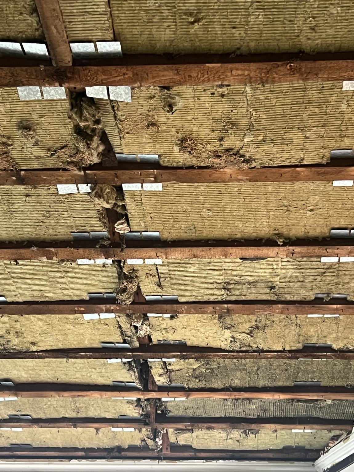 Close-up of old ceiling joists and insulation